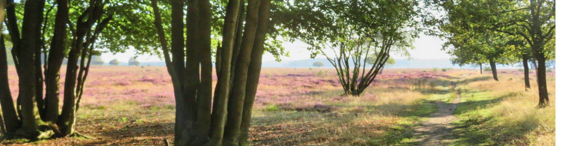 hilversum